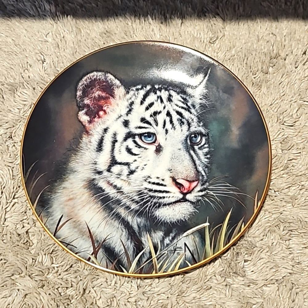 ✨️Princeton Gallery Cubs of Big Cats Collection Plate White Tiger Cub 1992